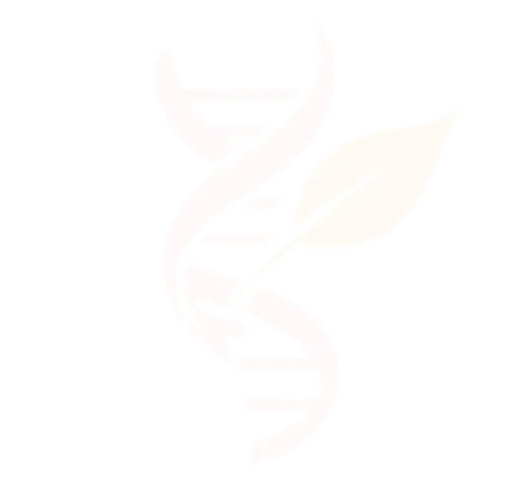 cropped 4b572bf8 b189 49cc 940d b1d2be4a742f.webp